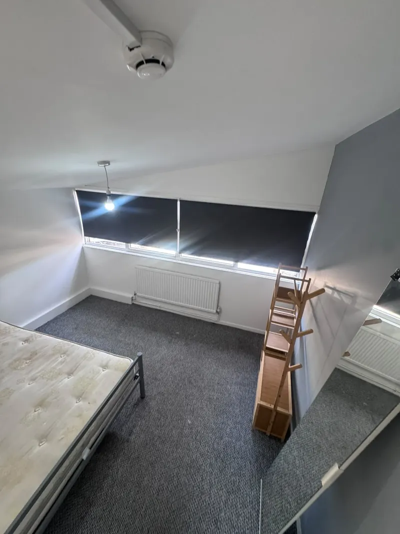 Bedroom with carpet, bed, shelving and a window