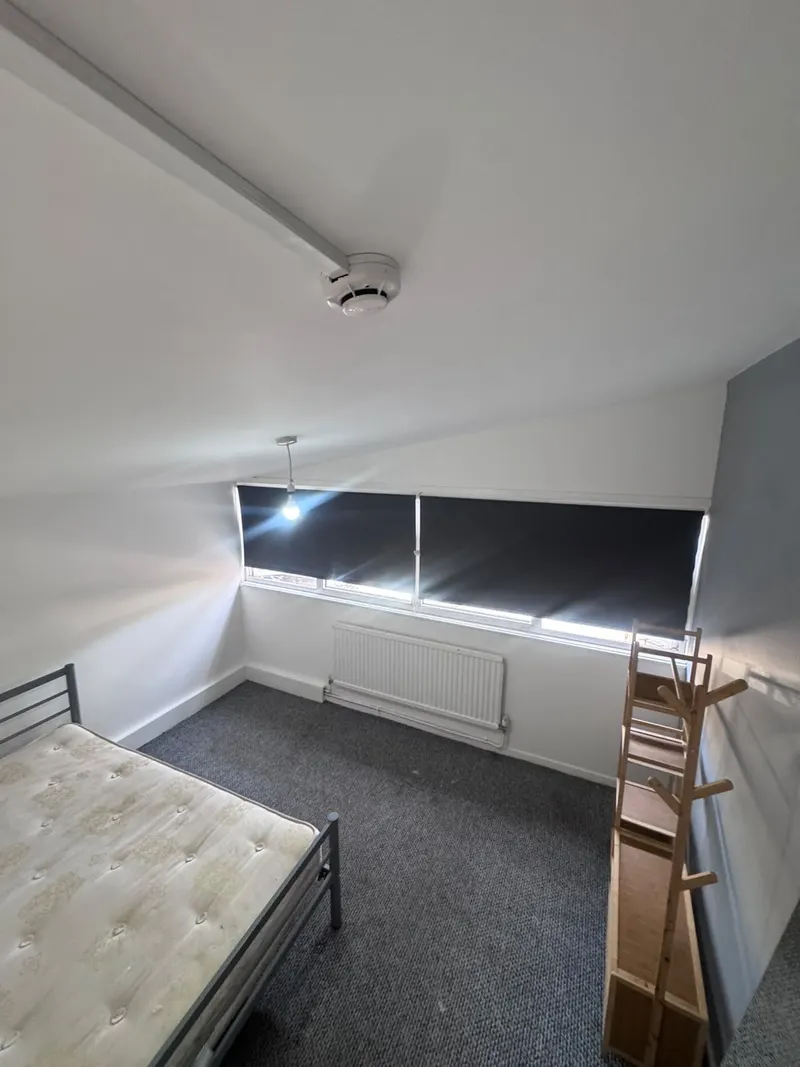 Bedroom window, shelving and carpet